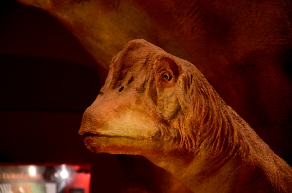 Fotos de Legendark Territorio Dinopolis Galve, Aragosaurus