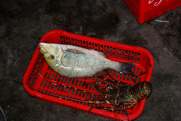 Fotos de Nha Trang en Vietnam, pescado