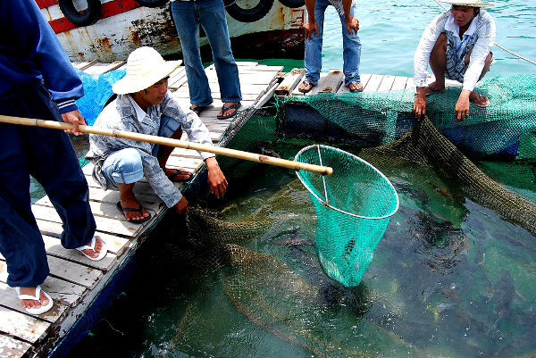 Fotos de Nha Trang en Vietnam, pescadores