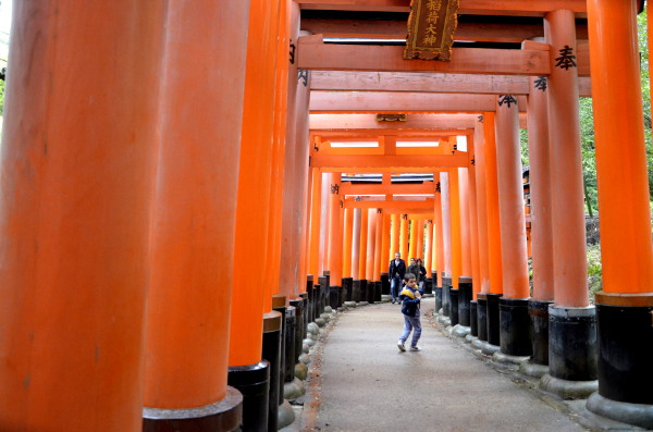 Fotos del Fushimi Inari de Kioto, Teo entre los torii