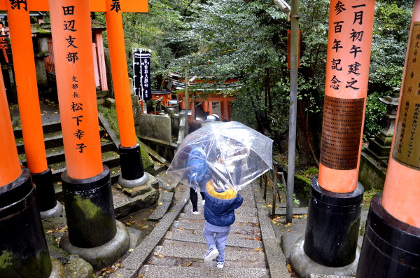 Fotos del Fushimi Inari de Kioto, Teo y el paraguas