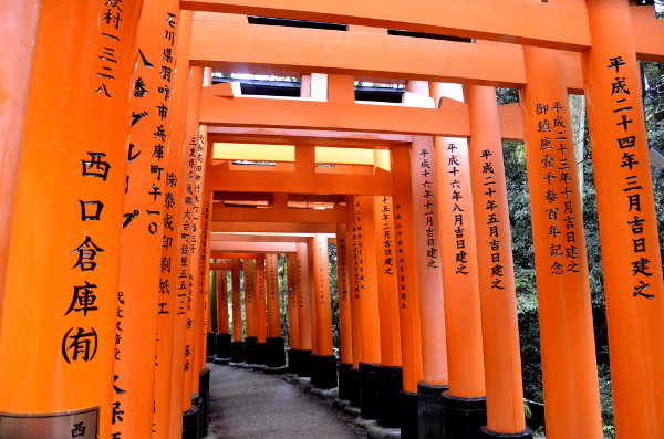 Fotos del Fushimi Inari de Kioto, los torii o puertas rojas