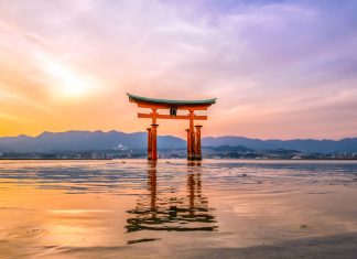 Cual es el mejor seguro de viajes para Japon