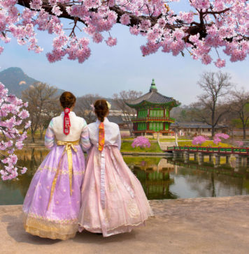 Como organizar un viaje a Corea del Sur
