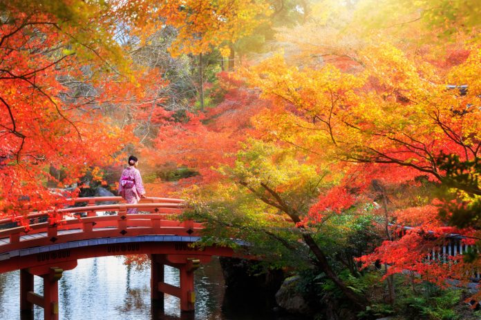 Fotos de Japon, otono en Kioto