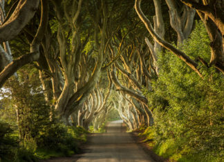 Ruta de Juego de Tronos por Irlanda del Norte