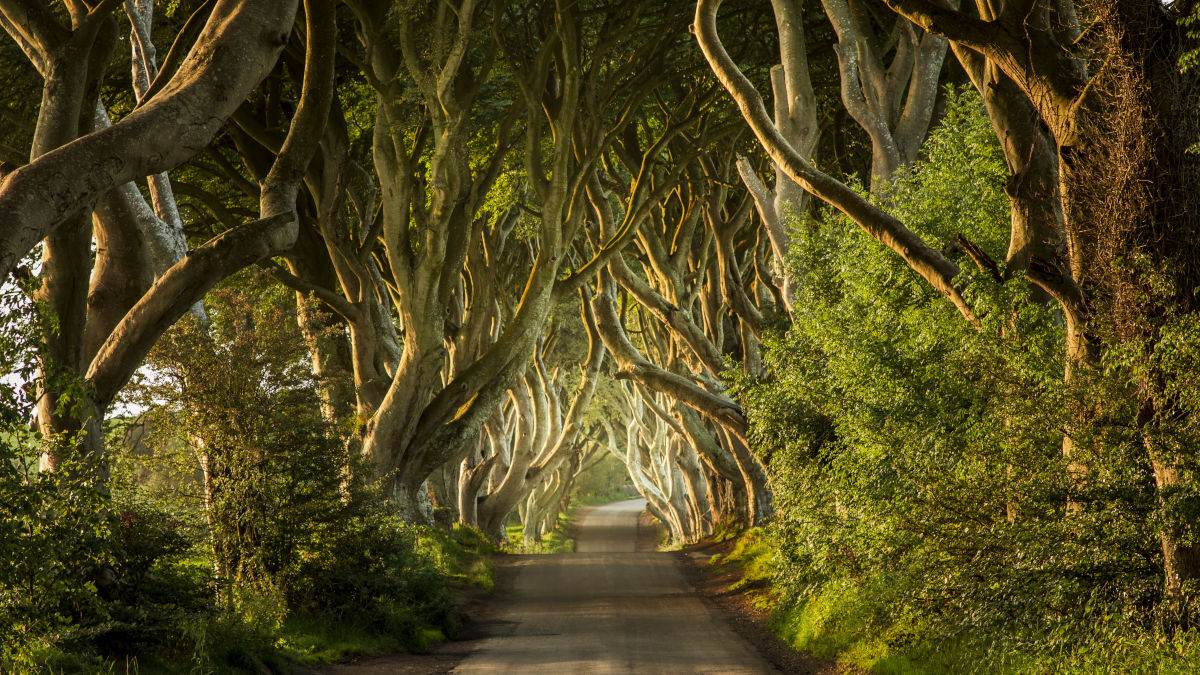 Ruta de Juego de Tronos por Irlanda del Norte