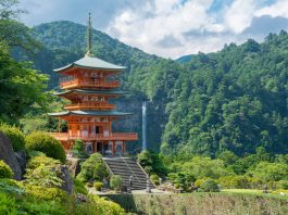 Lugares que visitar en Wakayama