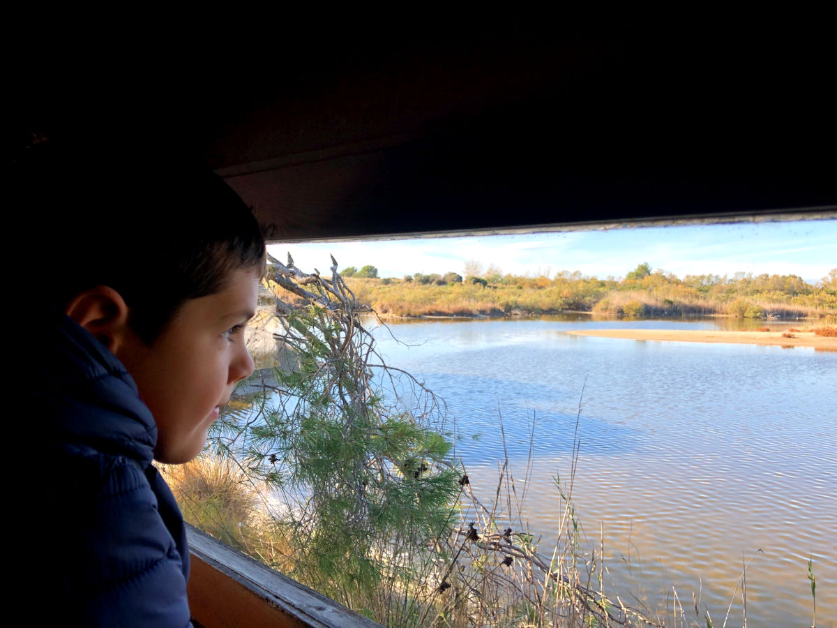 Excursion a la Albufera con niños, Oriol observando aves