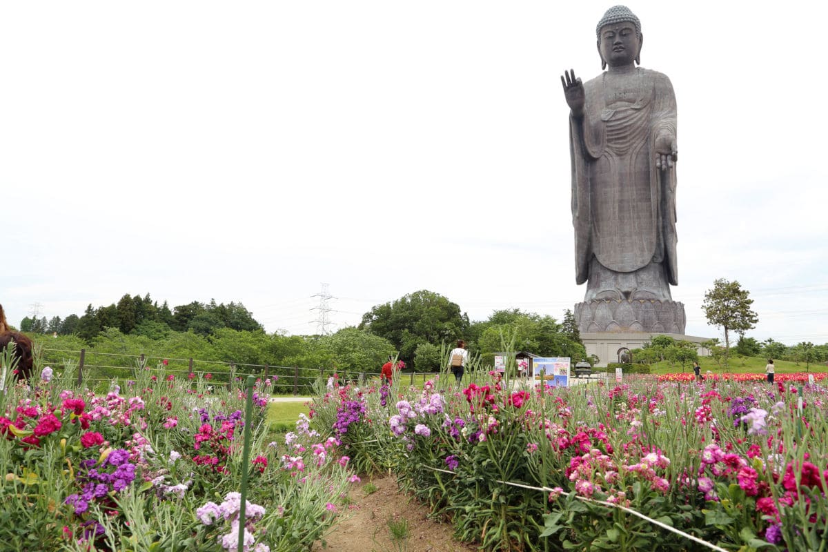 El Buda gigante de Ushiku