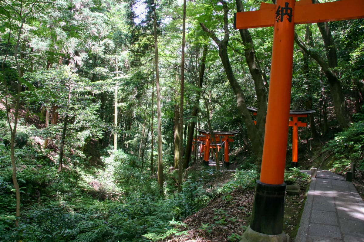 Ruta de senderismo en Fushimi Inari cerca de Kioto, Japon