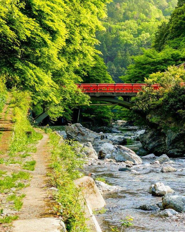 Senderismo en Arashiyama cerca de Kioto