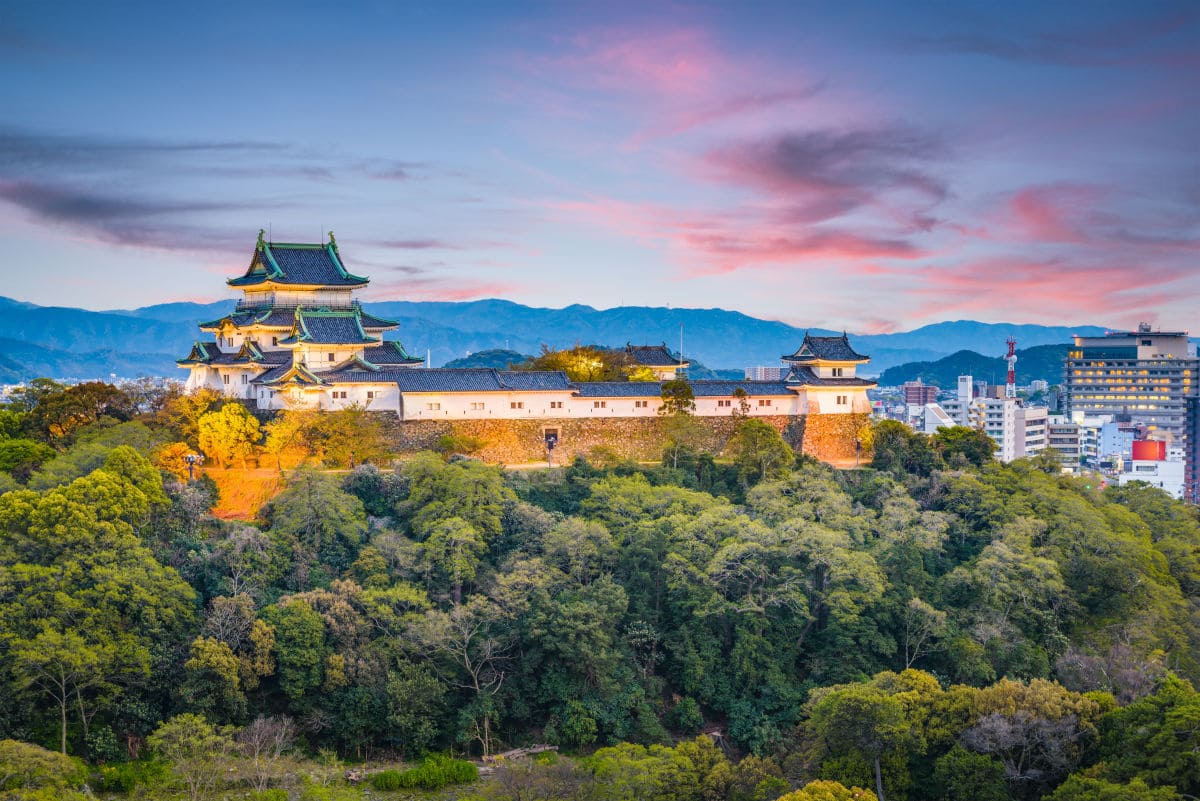 Castillo de Wakayama