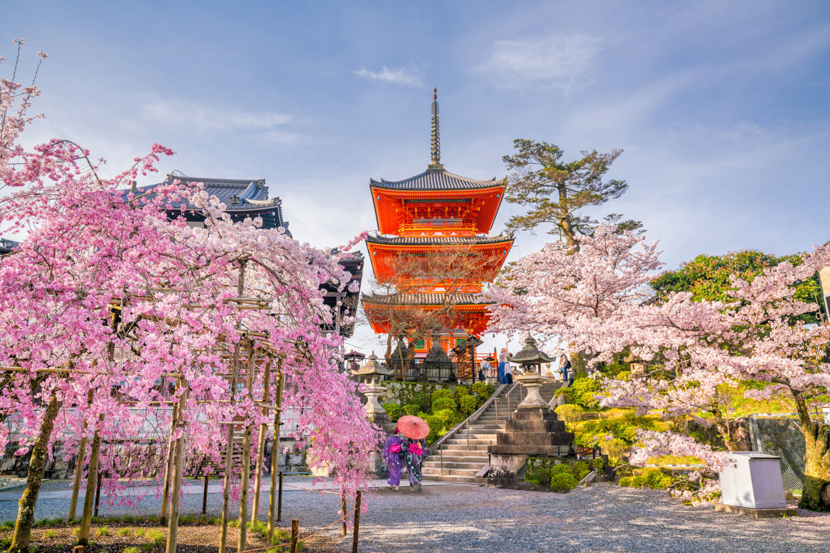 Templo Kiyomizu-dera y cerezos en flor en Kioto
