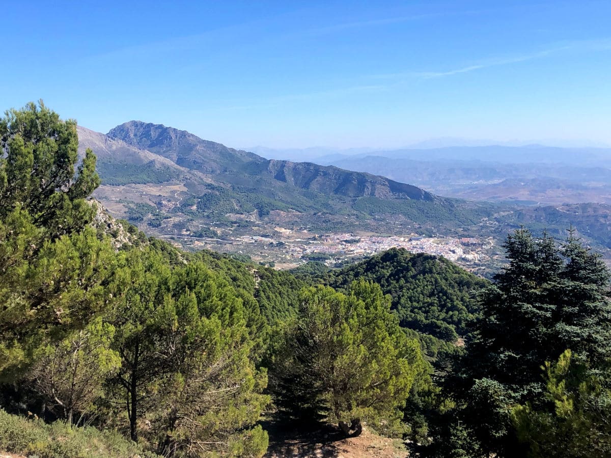 Cosas que hacer en la Sierra de las Nieves de Malaga