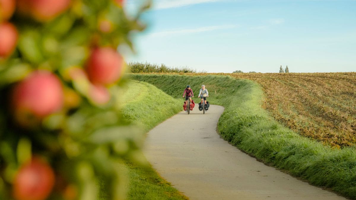 Rutas en bicicleta por Flandes