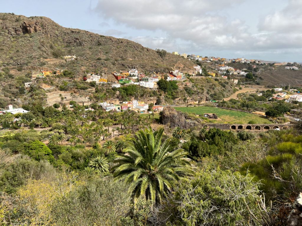 Jardín Botánico Canario Viera y Clavijo en Las Palmas de Gran Canaria