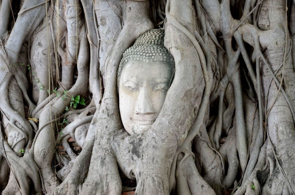 Que visitar en Ayutthaya