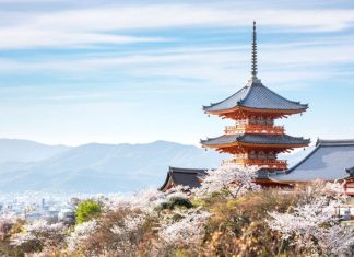 Lo mejor de una visita a Kioto de 24 horas