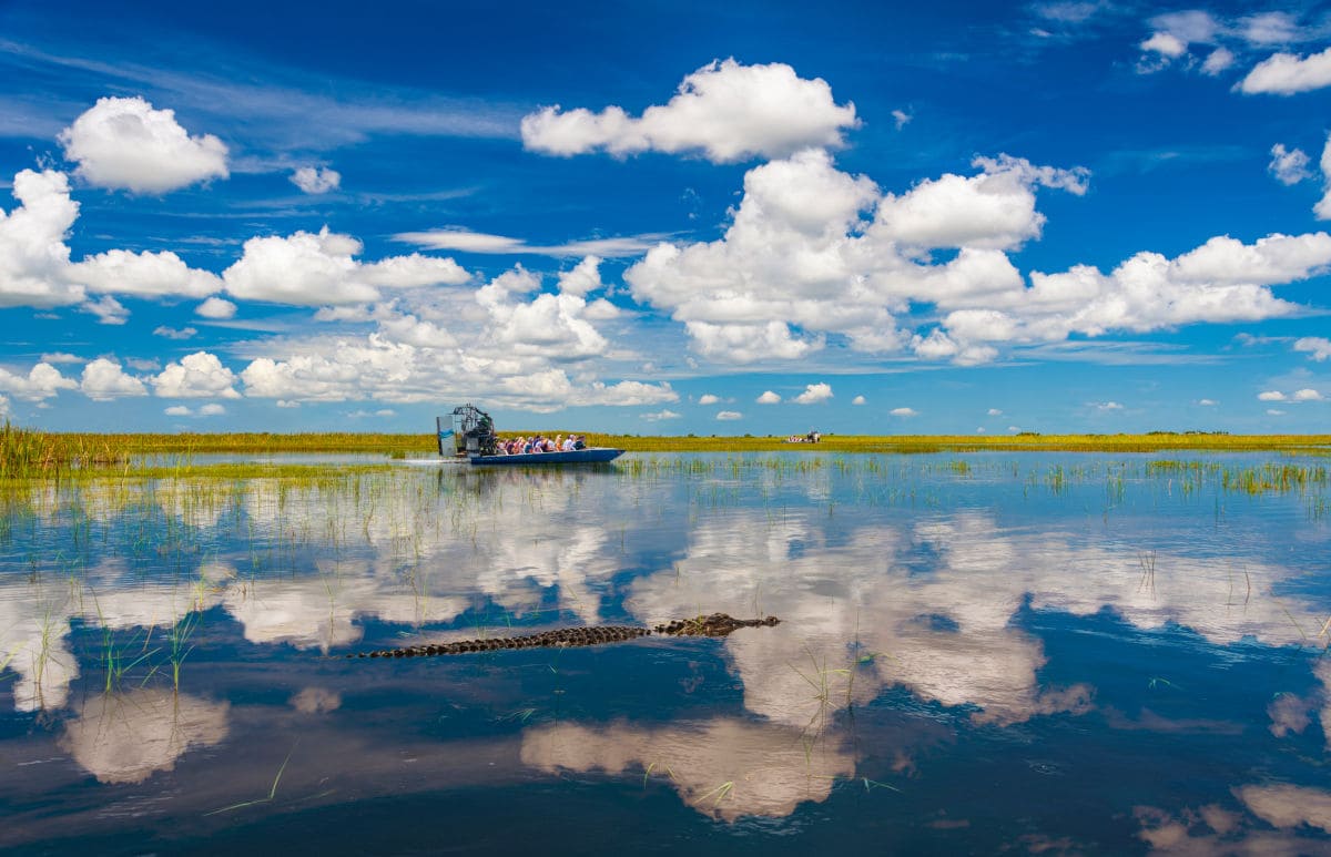El cielo azul se refleja en las aguas de los Everglades con un hidrodeslizador y un caimán de fondo