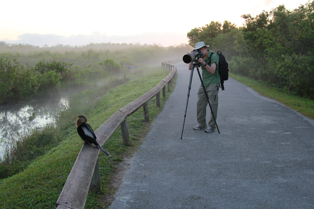 Recomendaciones para ir al Parque Nacional de los Everglades