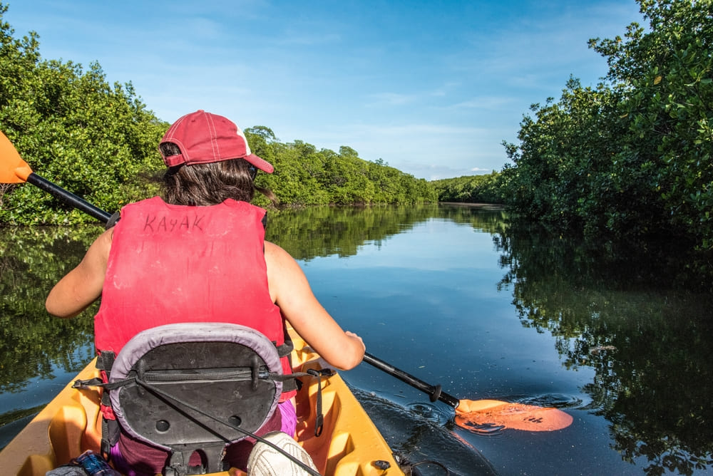 Actividades para hacer en el Parque Nacional de los Everglades