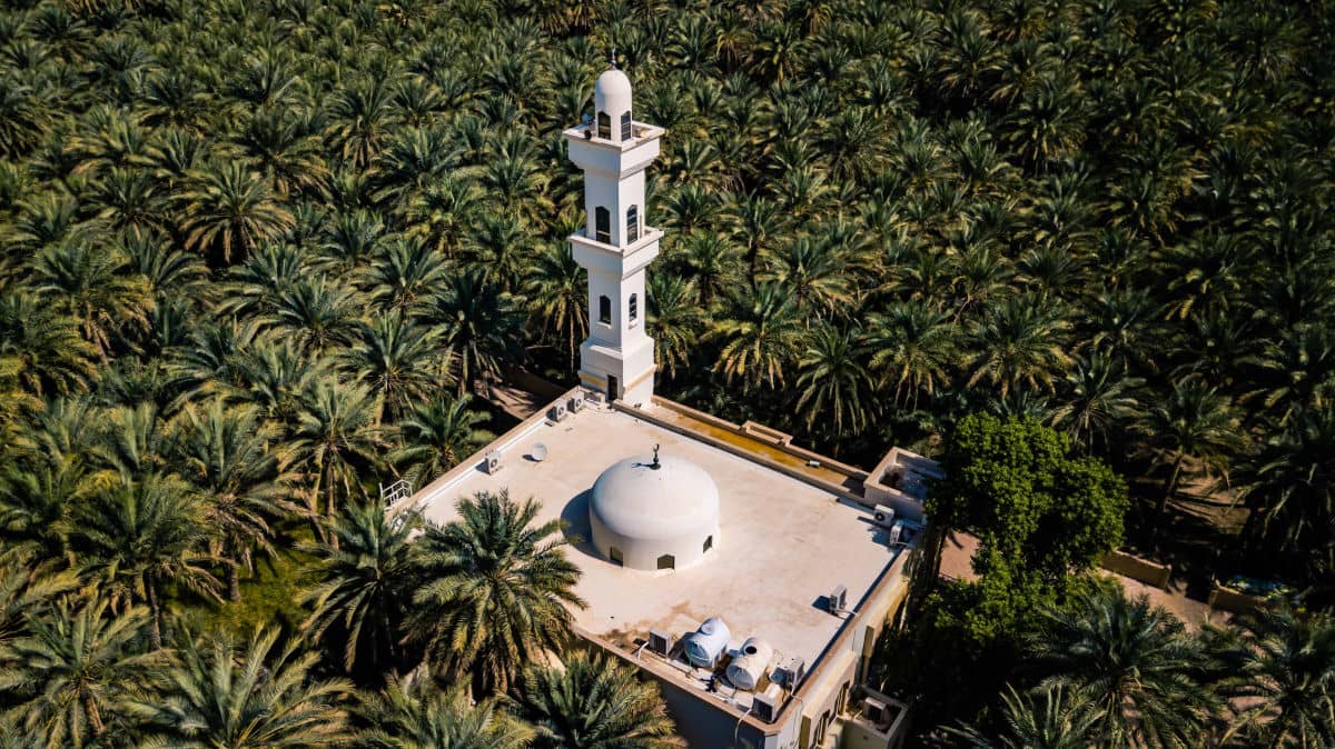 Mezquita en el oasis de Al Ain en Abu Dhabi