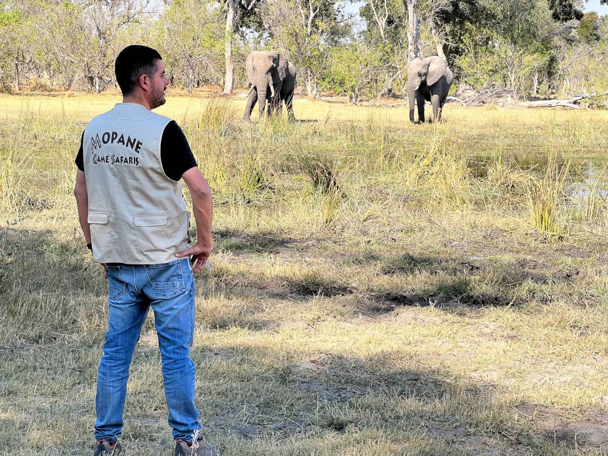 Pau con los elefantes en Botswana