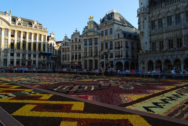 Alfombra de flores de la Grand Place de Bruselas