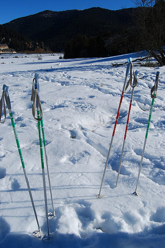 Bastones de esquí en la nieve