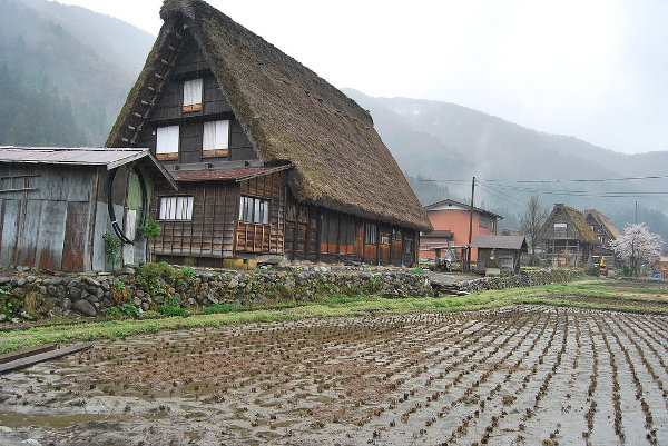Casas tradicionales de Shirakawa-go