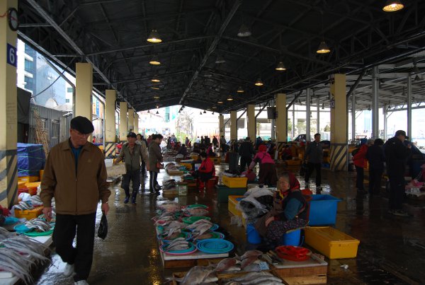 Comprando pescado en el Mercado de pescado Jagalchi de Busan