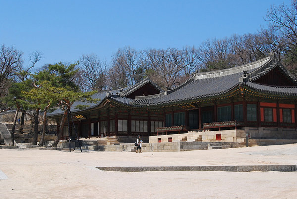 Contemplando el Palacio Changgyeonggung de Seúl