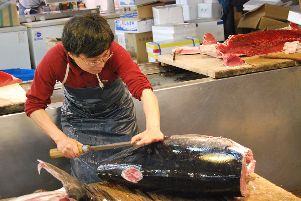 Cortando el atún en Tsukiji