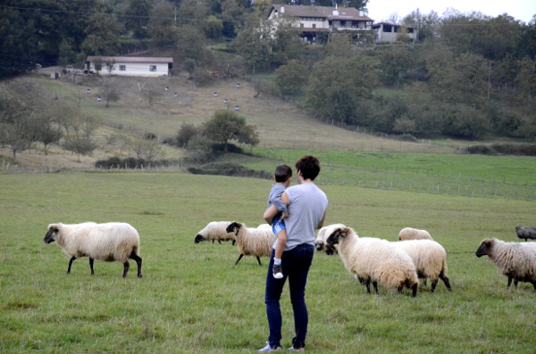 fotos goierri - ruta idiazabal, vero, oriol y ovejas