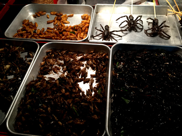 Fotos de Bangkok. Qué comer, insectos