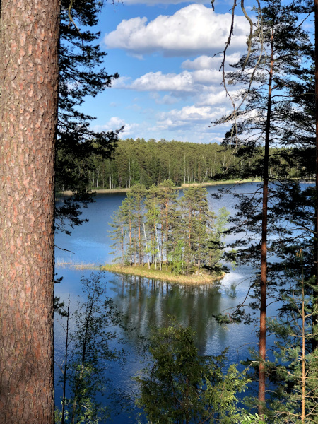 Fotos de Finlandia, paisaje de la region de los Mil Lagos