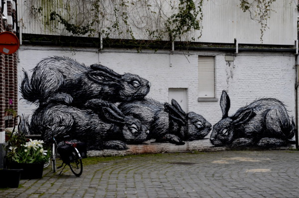 Fotos de Gante, ruta street art conejos Roa
