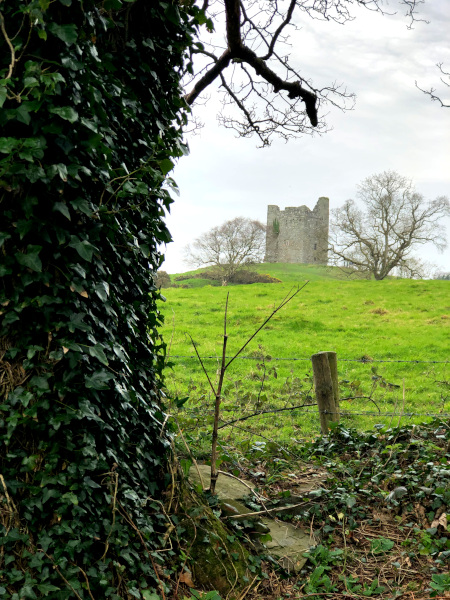Fotos de Irlanda del Norte, castillo de Audley