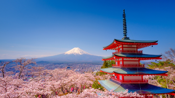 Monte Fuji en primavera con los cerezos en flor