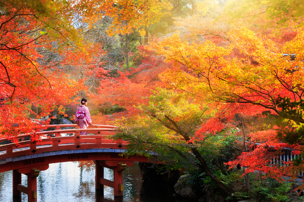 Fotos de Japon, otono en Kioto