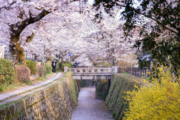 Fotos de Kioto en Japon, paseo del filosofo