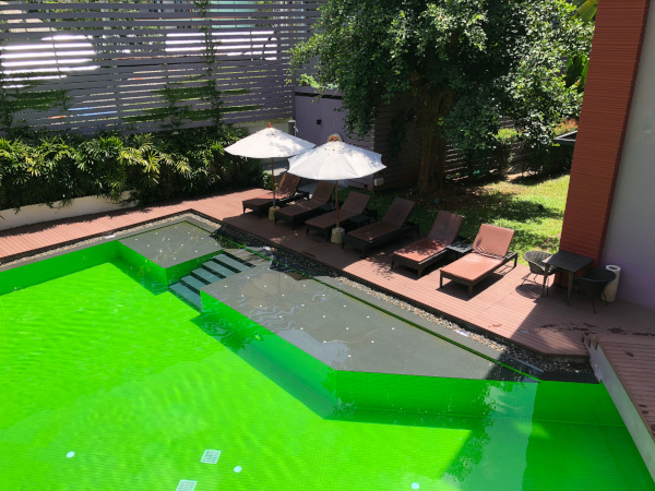 Fotos de Krabi en Tailandia, Hotel La Playa Resort piscina verde