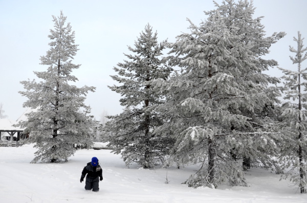 Fotos de Laponia Finlandesa, Teo en los bosques nevados