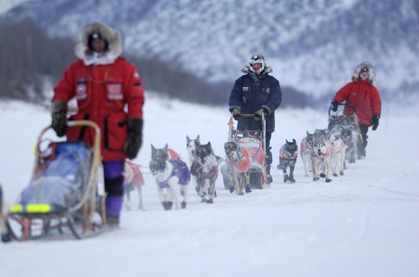 Fotos de Laponia Noruega, trineos de perros en Alta