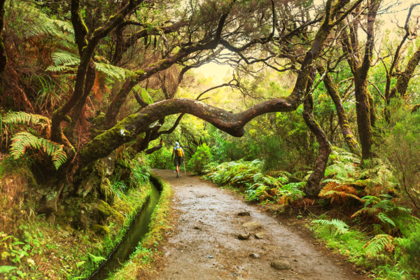 Fotos de Madeira en Portugal, senderismo por las levadas