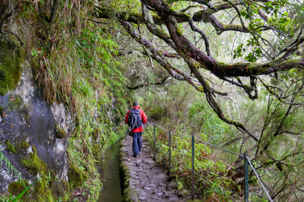 Fotos de Madeira, levada en el sendero do Caldeirao Verde