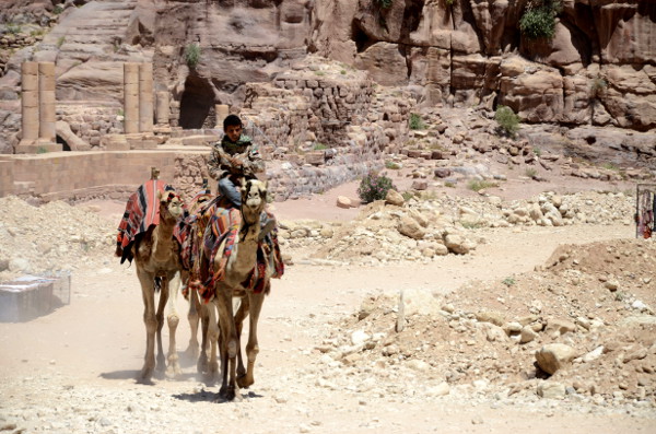 Fotos de Petra en Jordania, niño beduino con camellos