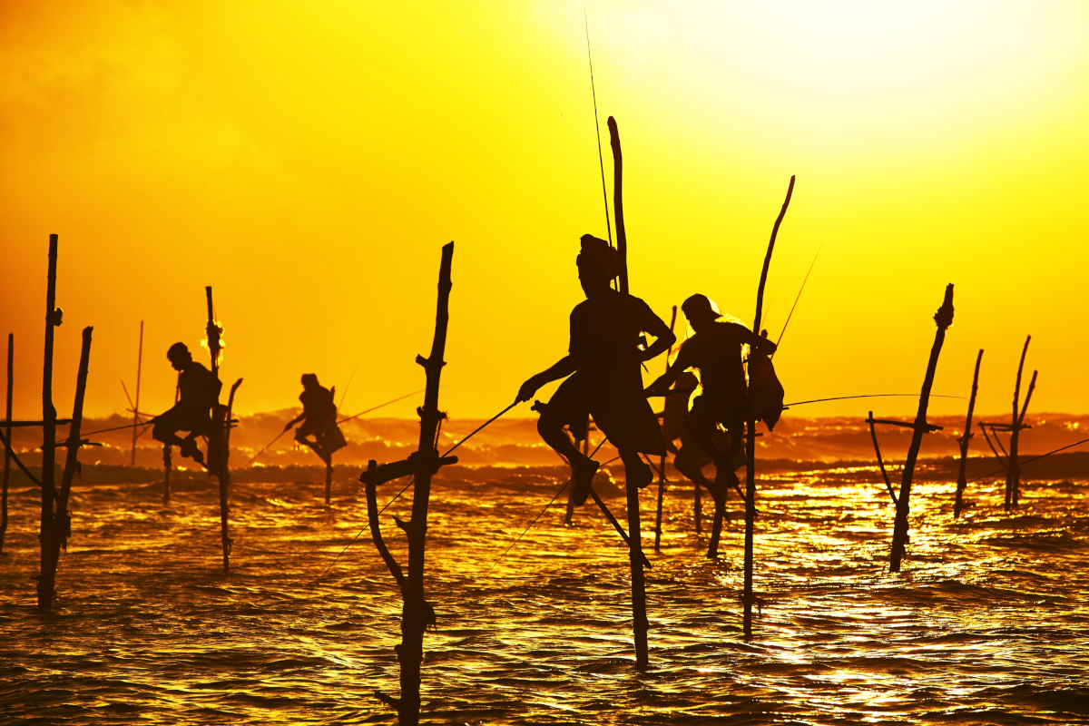Fotos de Sri Lanka, pescadores en palos
