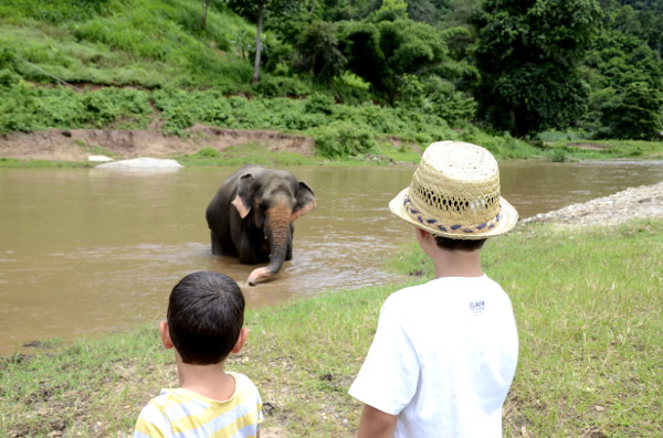 fotos de tailandia, teo y oriol en elephant nature parc